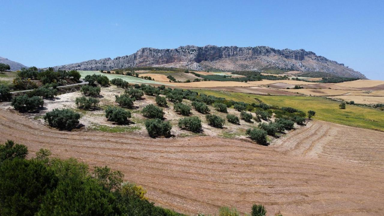 La Posada Del Torcal Villanueva de la Concepción Esterno foto